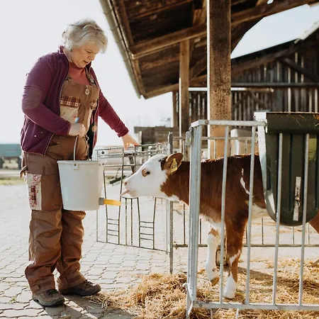 Lehnerhof باد ايبلنغ