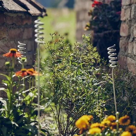 Lehnerhof Apartment Bad Aibling