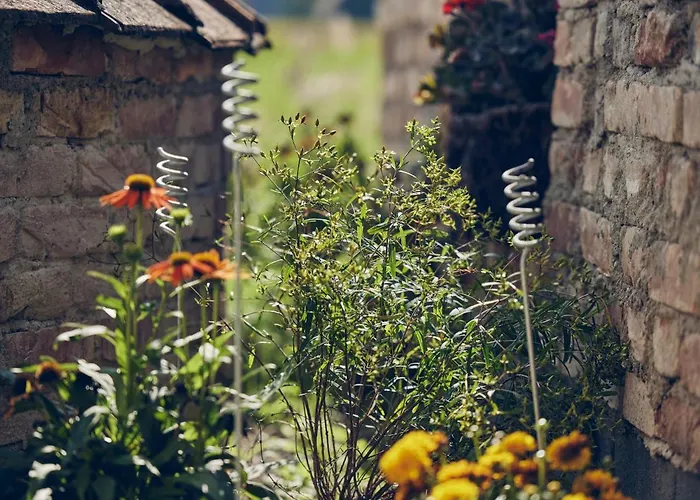 Lehnerhof 公寓 巴特艾布灵