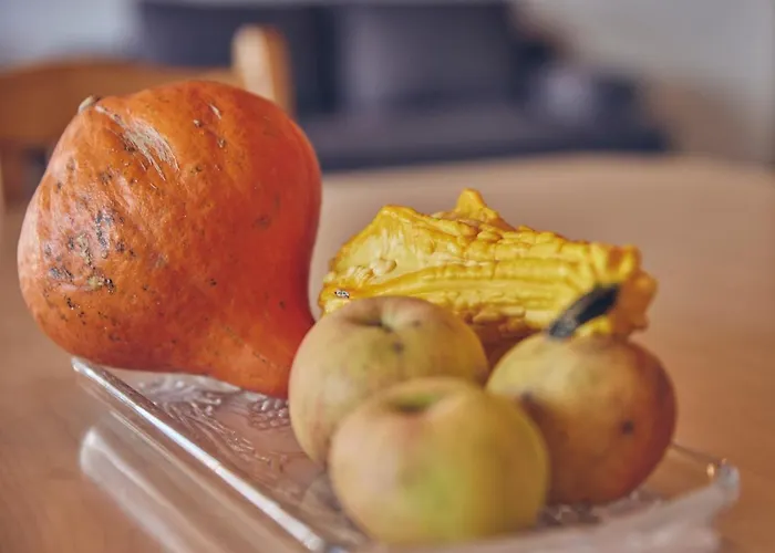 Lehnerhof 公寓 巴特艾布灵